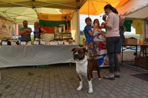 BeNeLux2018 09 break 04