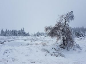 Keliautojų klubas