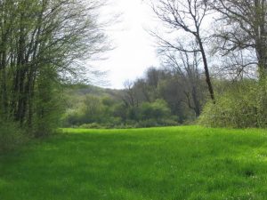 Keliautojų klubas