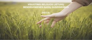 Visuotinis BLB narių susitikimas @ Google Meet