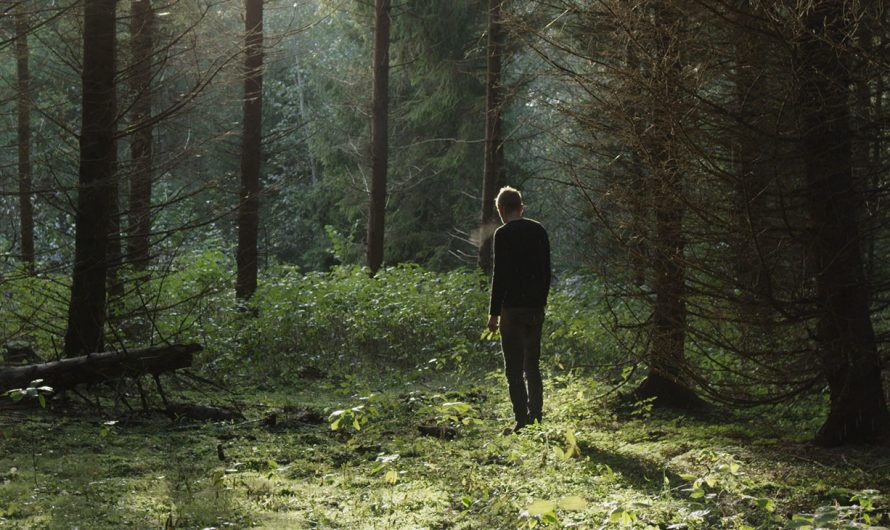 BOZAR kino dienose – Š.Barto „Ramybė mūsų sapnuose“