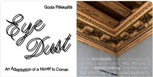 Personalinės Godos Palekaitės parodo „Eye Dust: An Adaptation of a Novel to Come“ atidarymas @ Beursschouwburg | Bruxelles | Bruxelles | Belgija