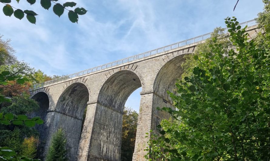 Žygis pėsčiomis Virelles ežero apylinkėse lapkričio 7 d.