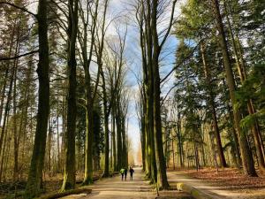 03b-83276025 10157628778405042 2378517613958397952 n