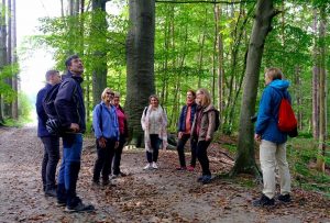Bierbeek