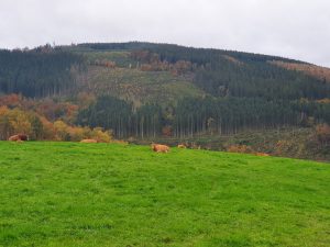 Vėlinių žygis prie Moustier
