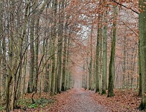 Oud-Heverlee