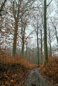 Oud-Heverlee