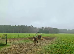 Oud-Heverlee