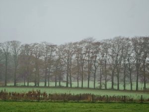 Oud-Heverlee