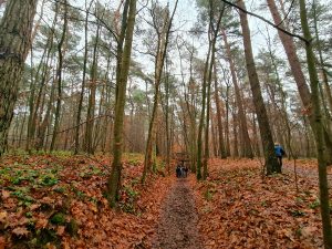 Oud-Heverlee