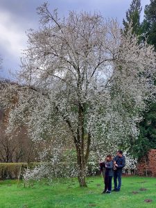 Groenendaal žygis