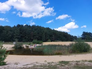 Hoge Kempen