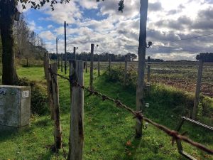Baarle-Hertog