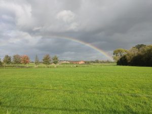 Baarle-Hertog