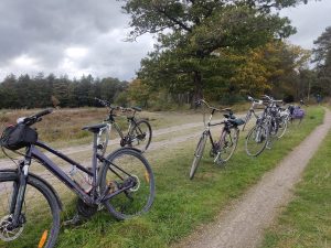 Baarle-Hertog