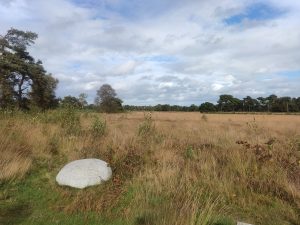 Baarle-Hertog