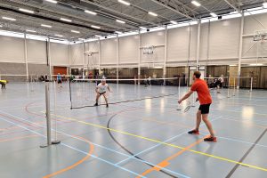 BeNeLux lietuvių sporto žaidynės