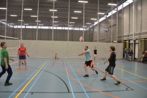BeNeLux lietuvių sporto žaidynės
