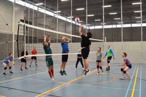 BeNeLux lietuvių sporto žaidynės