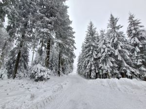 Skidinėjimas Aukštuosiuose Fenuose