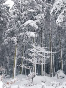 Skidinėjimas Aukštuosiuose Fenuose
