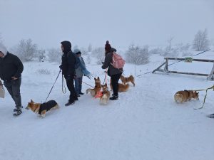 Skidinėjimas Aukštuosiuose Fenuose
