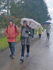 Žygis Kovo 11-ajai pažymėti