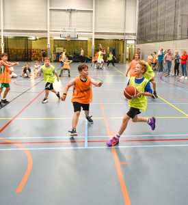 BeNeLux lietuvių sporto žaidynės