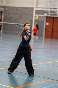 BeNeLux lietuvių sporto žaidynės