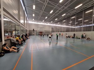 BeNeLux lietuvių sporto žaidynės