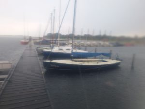VIII-oji BeNeLux regata