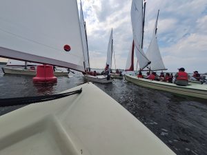 VIII-oji BeNeLux regata