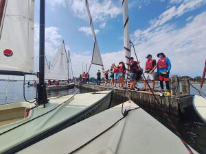 VIII-oji BeNeLux regata