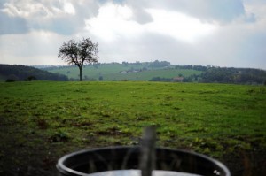 2012 po alucio 7