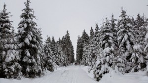 20150201 120653
