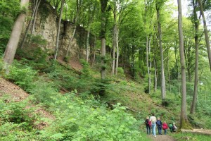 IMG 2081 (1)