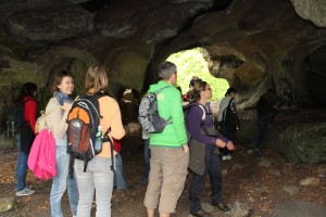 IMG 2115 (1)