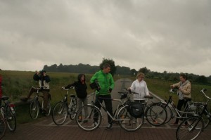 IMG 6524