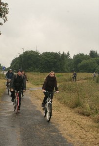 IMG 6536