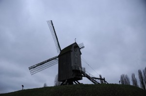  DSC1596