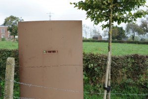  DSC4798