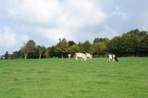  DSC4807