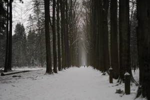 DSC5584